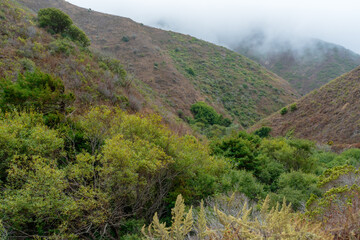 Fototapeta premium Mountains with forest