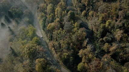 A road in a misty forest