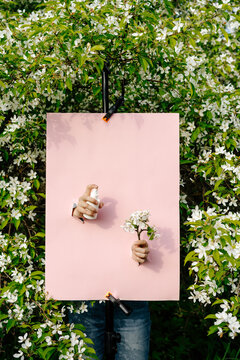 Hands with spray bottle emerging from pink poster in garden scene