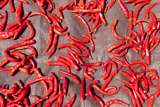 Red chilies