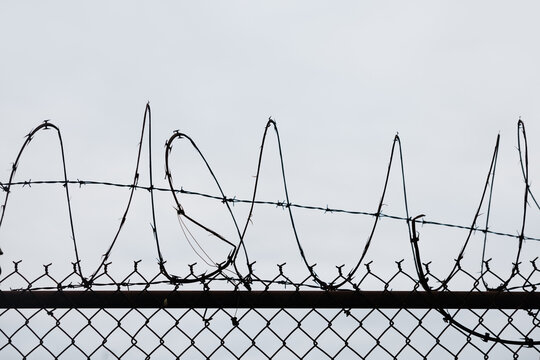 Barbed wire fence silhouette against gray sky