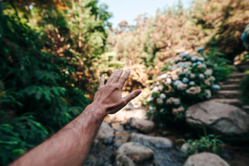 POV exploring nature