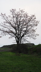 Obraz premium Views of Victoria, Canada