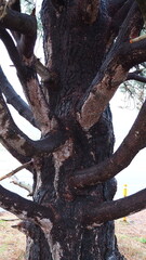 Views of Victoria, Canada