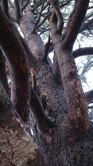 Fototapeta premium Views of Victoria, Canada