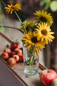 Sunflowers and Apples on Windowsill