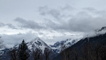 snow covered mountains