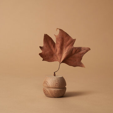autumn leaf in balance on a toy block 