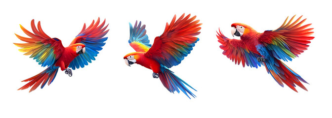 Fototapeta premium Three colorful Macaw birds in flight on white background, Generative AI image 