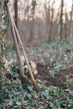 Garden tools resting against fence in garden backdrop