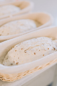 Fermented dough loaves resting in wicker proofing baskets.