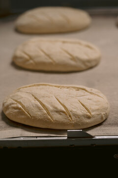 Three loaves of raw bread dough on a baking sheet.