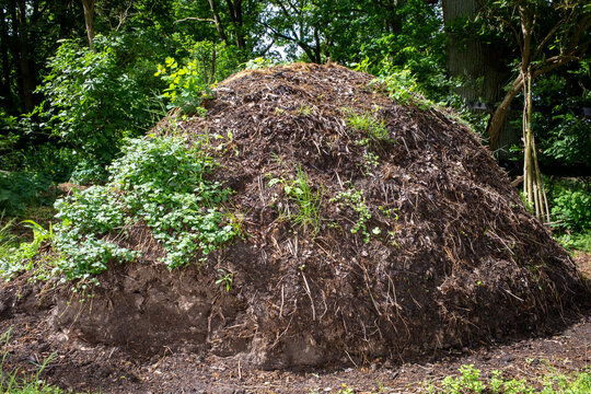 Composting heap