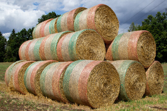 Many round hay bales
