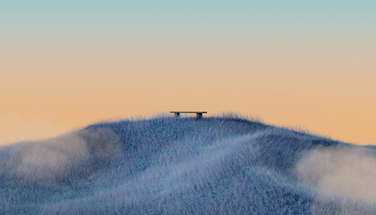 Lonely bench on a hill with blue grass