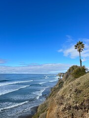 Coastal View with a Lone Palm Tree and Rolling Waves on a Clear Blue Sky Day