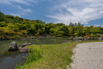Paisaje de jardín japonés 