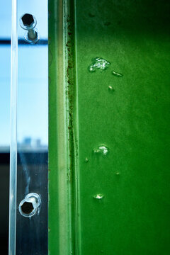 Micro-algae bioreactor - food web sustainability