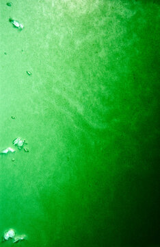 Micro-algae bioreactor photosynthesises chlorophyll