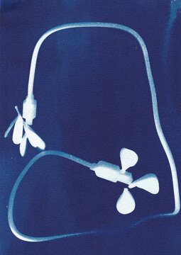  Conceptual cyanotype of everyday objects 