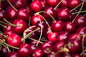 Freshly harvested cherries in a vibrant display at a local market during summer season