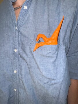 Woman with Dino Pocket