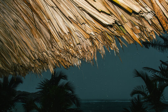 Palm roof of cabin with rain droplets 