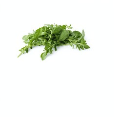 Fototapeta premium Fresh Peppered Arugula Leaves Isolated on White Background