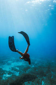 teen apnea diver