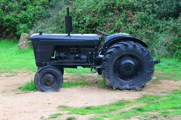 Fototapeta premium old tractor in the field