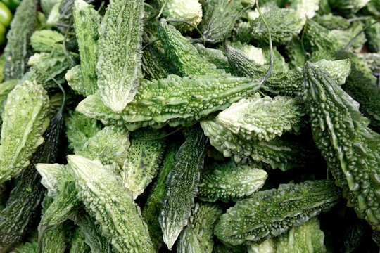 Fresh harvested raw Indian Bitter Melon, Bitter Gourd, or Bitter Apple in a local farmers produce market in Jaipur, India.	