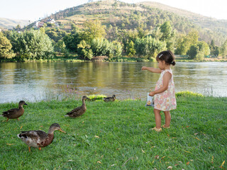 Little girl feeding ducks by the river in summer