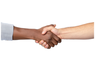 Handshake between diverse individuals in partnership