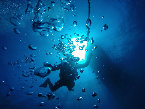 Diver&rsquo;s silhouette