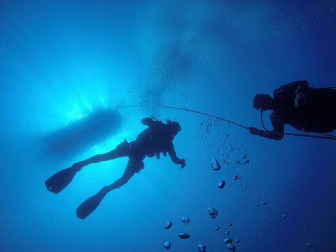 Diver&rsquo;s silhouette