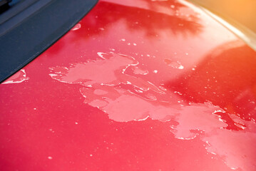 Repairing sun-damaged car paint and clear coat closeup. Peeling paint and clear coat damage....