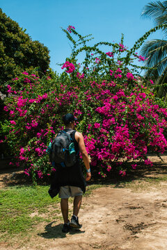 Young man walking on a sunny day 