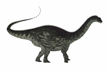 Apatosaurus Dinosaur - Apatosaurus was a herbivorous sauropod dinosaur that lived in North America during the Jurassic Period.