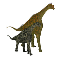 Atlasaurus Dinosaur with Juvenile - Atlasaurus was a herbivorous sauropod dinosaur that lived in Morocco, North Africa during the Jurassic Period.
