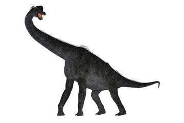 Brachiosaurus Dinosaur - Brachiosaurus was a herbivorous sauropod dinosaur that lived in North America during the Jurassic Period.