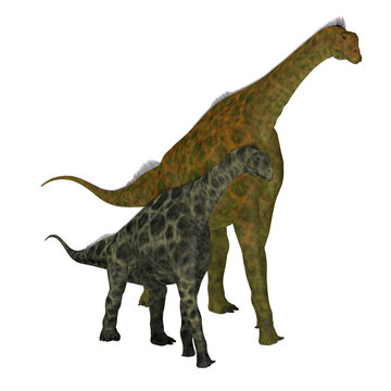 Atlasaurus Dinosaur with Juvenile - Atlasaurus was a herbivorous sauropod dinosaur that lived in Morocco, North Africa during the Jurassic Period.