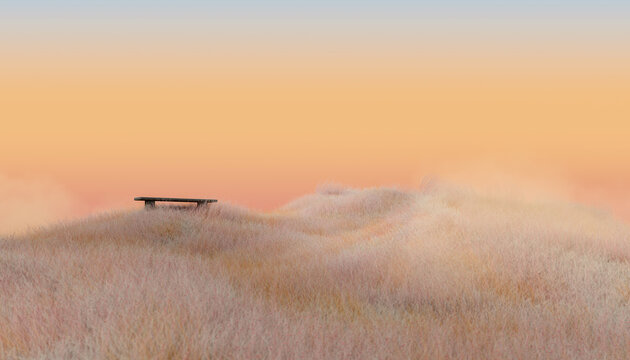 Lonely bench on a hill with white grass
