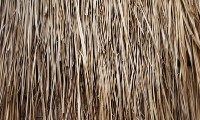 photo of dry straw, suitable for your background