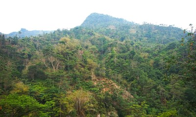 Fototapeta premium green and fresh mountain view