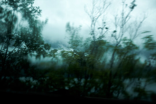 Out the Car Window