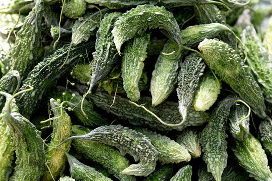 Fresh harvested raw Indian Bitter Melon, Bitter Gourd, or Bitter Apple in a local farmers produce market in Jaipur, India.	