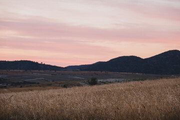 Obraz premium Wheat field mountains and sunset