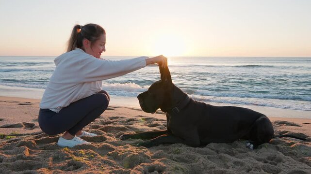Woman play dog on sandy beach large black Great Dane, sharing peaceful moment at sunrise by ocean summer. Serene coastal setting warm light highlight companionship relaxation in nature. Pet care