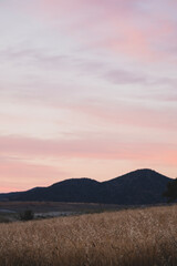 Obraz premium Wheat field mountains and sunset