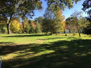 View of a park in autumn with changing leaf colours, grass, bright and blue sky with sunshine